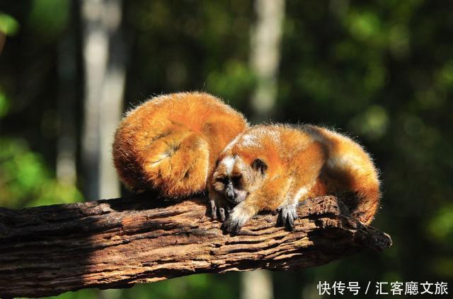 比三亚私密，比泰国便利，比江浙沪亲民的度假胜地