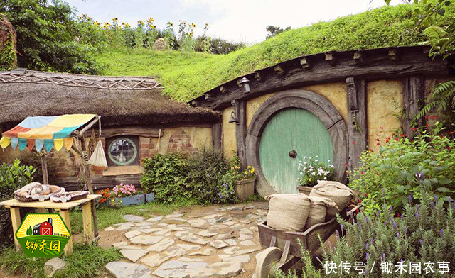 农村房屋统一规划来啦!两种补偿方式,你选择哪