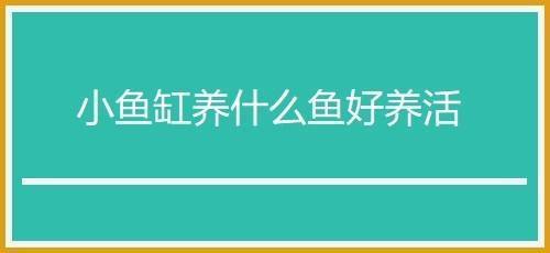 虎皮魚可以和草金魚一起養(yǎng)嗎圖片(虎皮魚能和草金混養(yǎng)嗎)