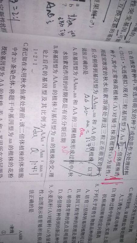 高中生物追加200分 看图求解AAaa这些四倍体