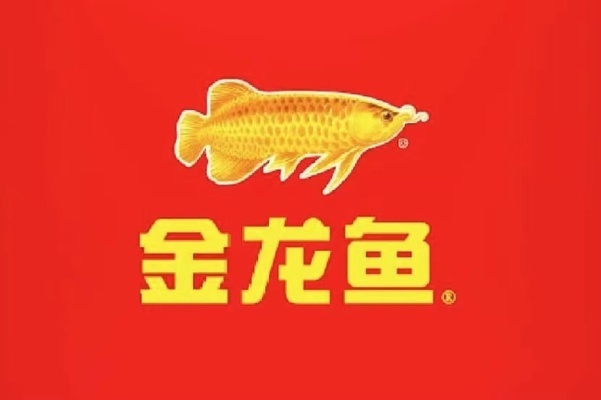 漂亮的魚缸簡筆畫大全（漂亮的魚缸簡筆畫大全圖片）