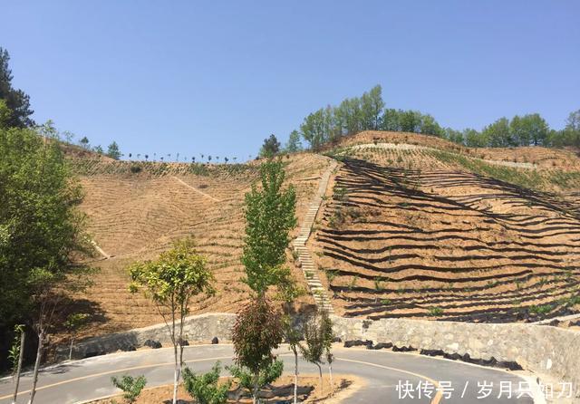商南县多少人口_商南县医院(2)