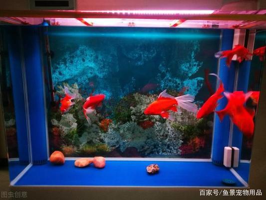 杭州市西湖區(qū)海印水族館（杭州市西湖區(qū)海印水族館地址） 全國(guó)水族館企業(yè)名錄