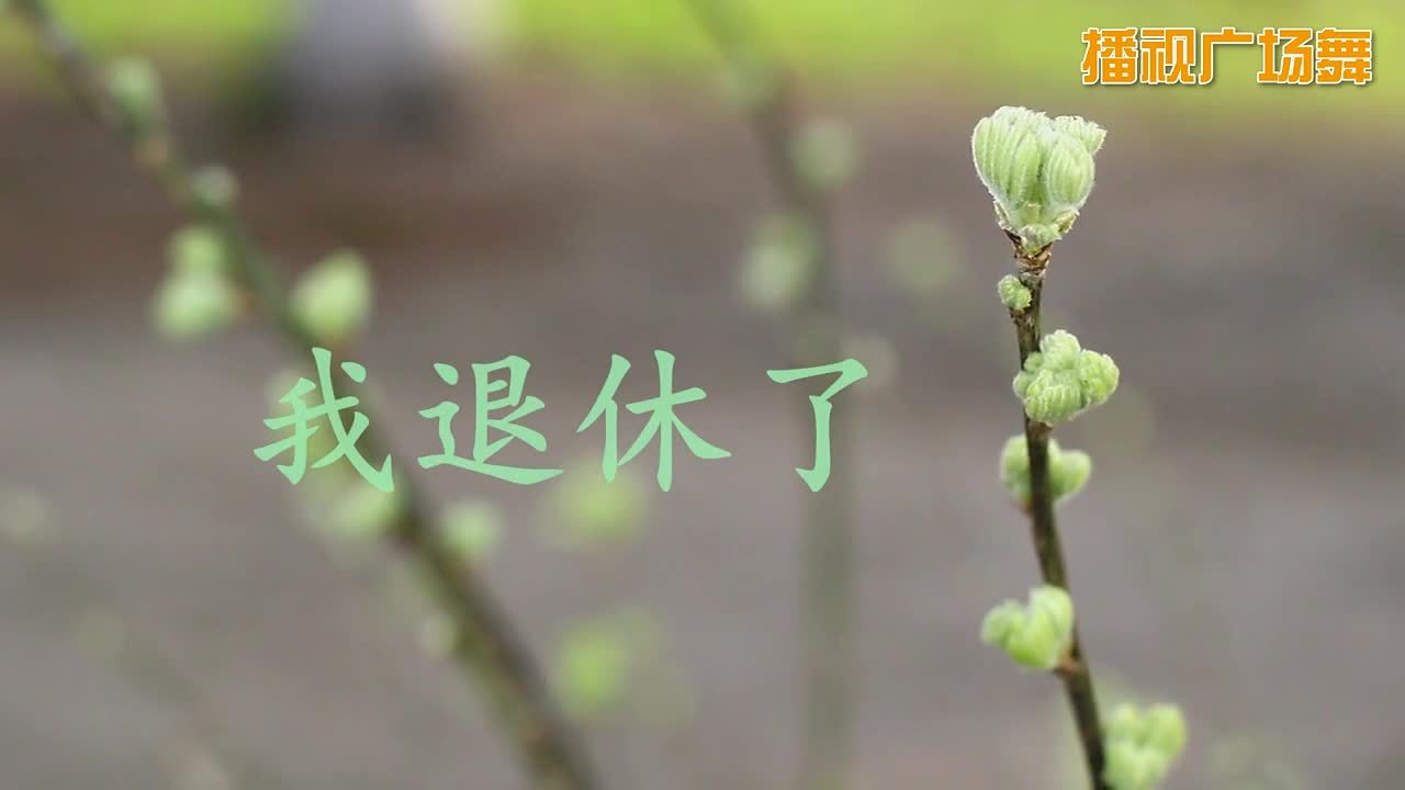 快乐天使学跳《我退休了》