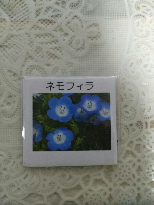 从日本买的一包花种子,翻译软件没翻译出来,求