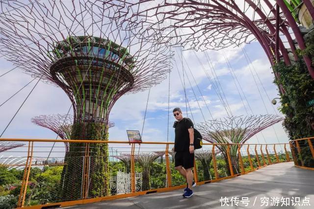 这是什么节奏？新加坡竟然花了10亿打造“原始森林”