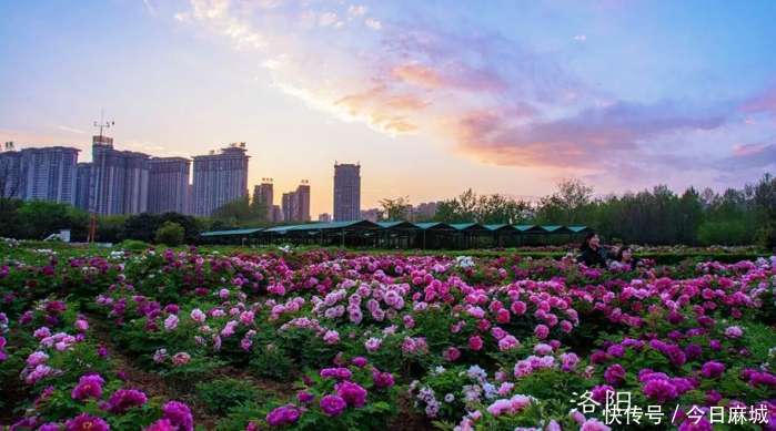 全国百强地级市上榜数量广东不及江苏，而这个中部省份却排第1