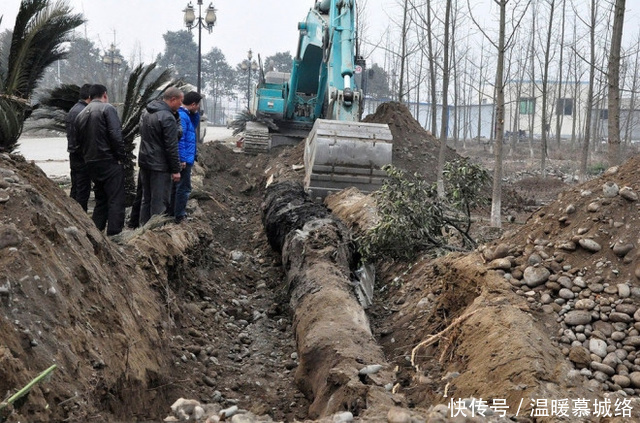 农村渔民江边发现巨木,打捞上来一看,顿时乐傻了