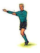 足球助理裁判举旗的情况_360问答