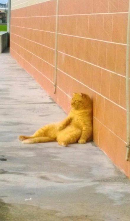 中国韩国欧盟就美国征收高关税向世贸组织申诉