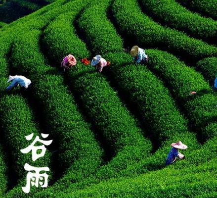  谷雨 _好搜百科