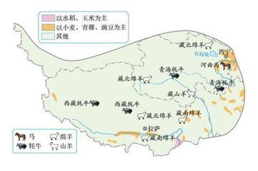 青藏地区的气候类型属于什么该区域地势高,以