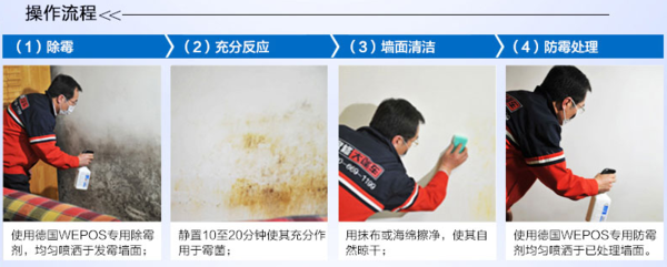 卧室墙面和卫生间发霉了怎么办,_360问答