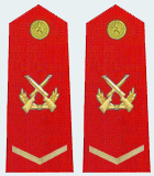 武警中士是什么级别_360问答