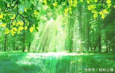 做 人 , 少 玩 心 眼!