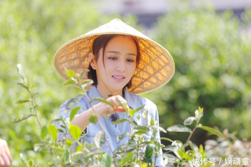 细节见人品,佟丽娅在《向往的生活》这些举动