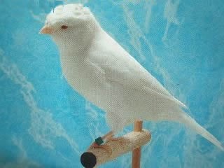白玉鸟