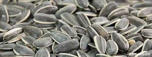 孕期孕妇能吃零食吗?4样零食可以放心吃,对胎