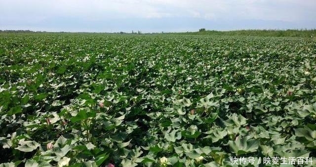 t01d41fb24266b735c4.jpg?size=640x338