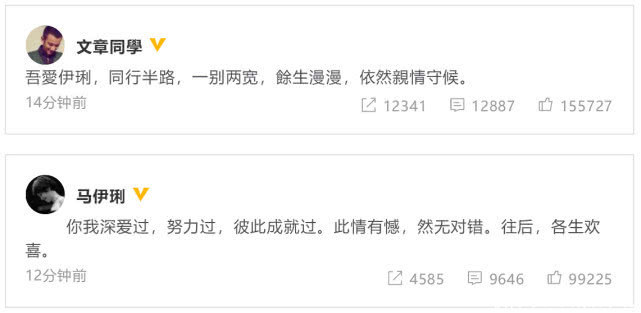 文章马伊琍正式离婚,网曝半年前已离婚两个女儿归马伊琍抚养 bwin中国官网