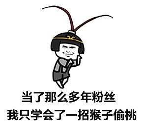 t01d58a8cd927a7c4c9.jpg
