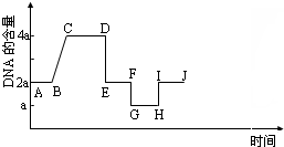 如图所示的是某生物的一个卵原细胞在减数分裂