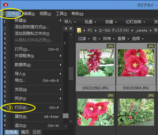 如何用ACDSee将多张照片打印在一张A4的纸