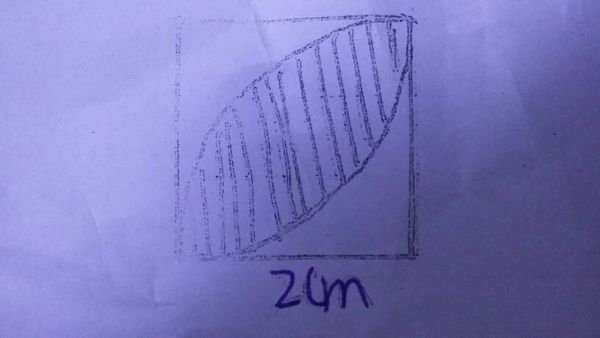 数学题(求阴影年级)_360v阴影视频小学一识字面积语文图片