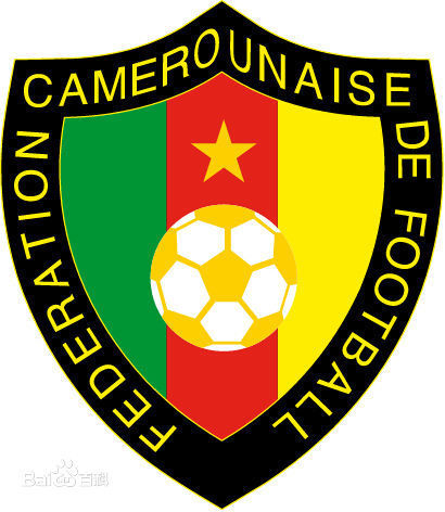 喀麦隆国家男子足球队的世界杯战史_360问答