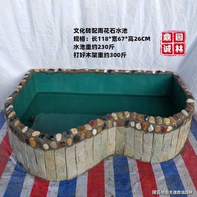 廣州觀賞魚展（廣州觀賞魚展會(huì)）