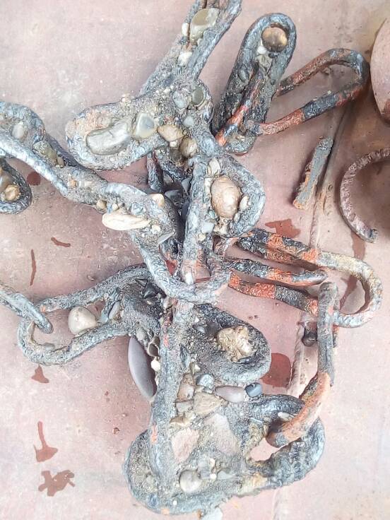 有人说石头在水底下不见阳光,不被人为的动过