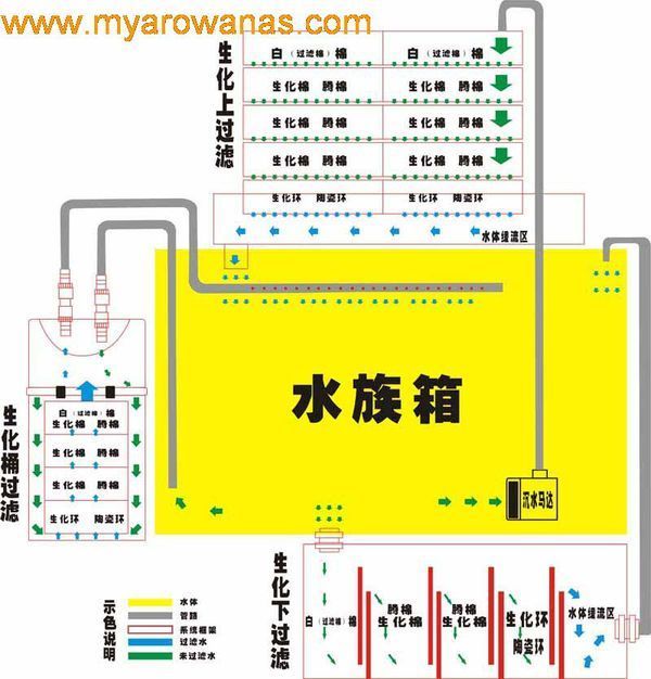 怎么给鱼缸过滤_360问答