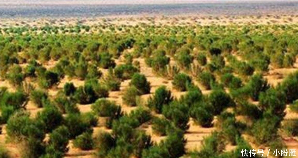 t01d8543e61381ebc29.jpg?size=1152x612