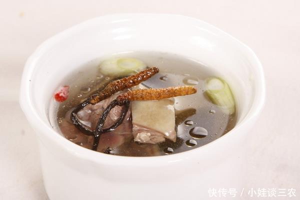 冬虫夏草功效与作用,什么时候吃比较好!