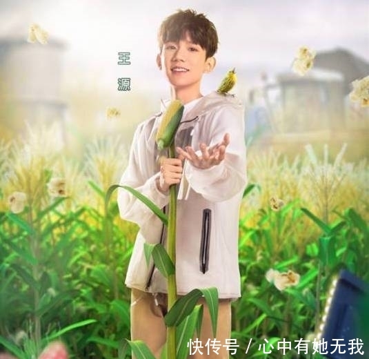 《哈哈农夫》节目组种假甘蔗被拆穿,金瀚贾乃