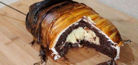 朋友圈看图猜东西 这只虫会是什么呢?_360问