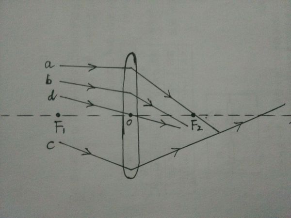 凸透镜,凹透镜的光路图怎么画_360问答