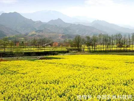 陕西省全域旅游十强县大众评选，快来为你的家乡打call！