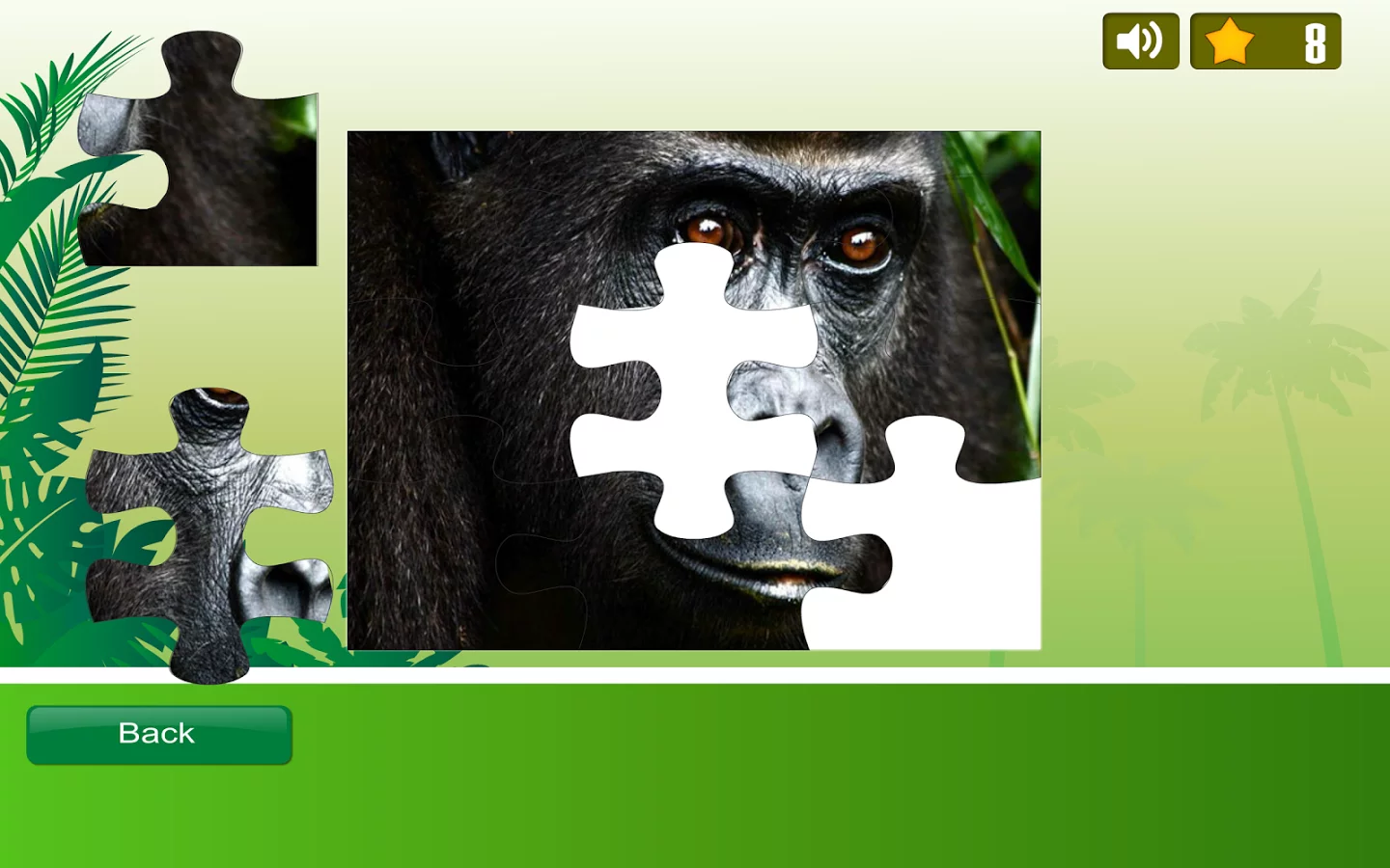 Rainforest Animals Puzzle截图2