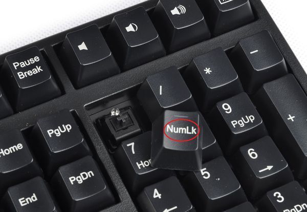 键盘右面的数字键突然不能用了是什么原因?_