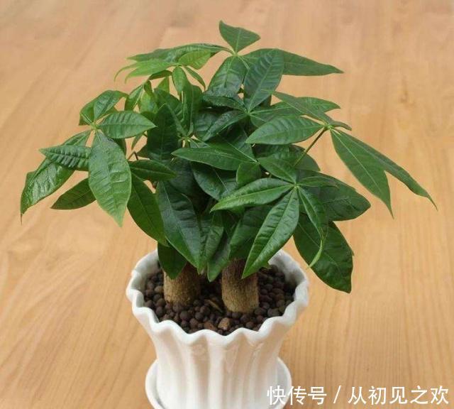 t01dd4745b903cdbe28.jpg
