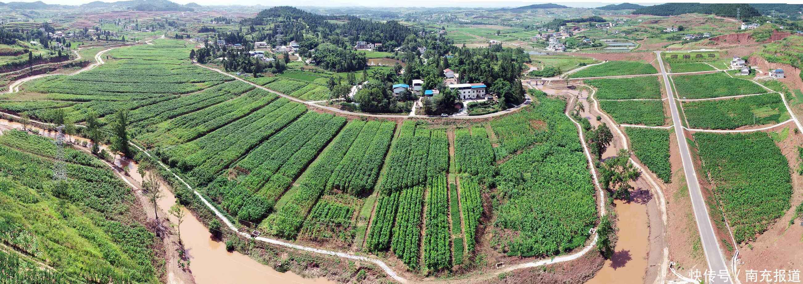 四川22个县市区30个乡镇启动乡村振兴规划试