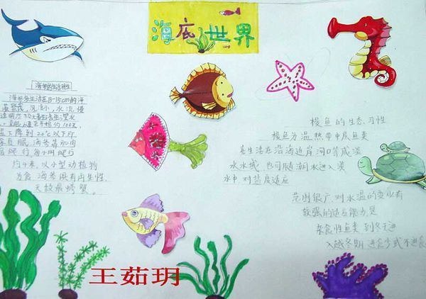 比如世界手抄报简单_360问答