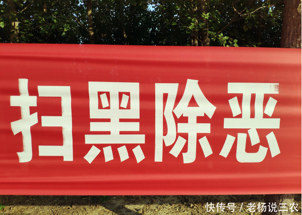 下个月,第三轮扫黑除恶督导组将进驻农村,4类