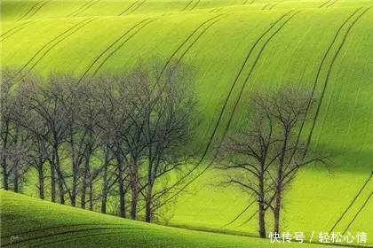 做人淡而久香,不争,不俗