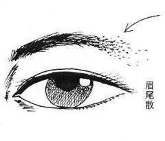 一泓师傅:从女人眉毛看命运吉凶