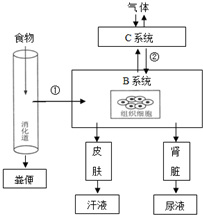 (2014?玉溪模拟)如图相关头像新陈代谢表示的拽qq超女生人体背影图片