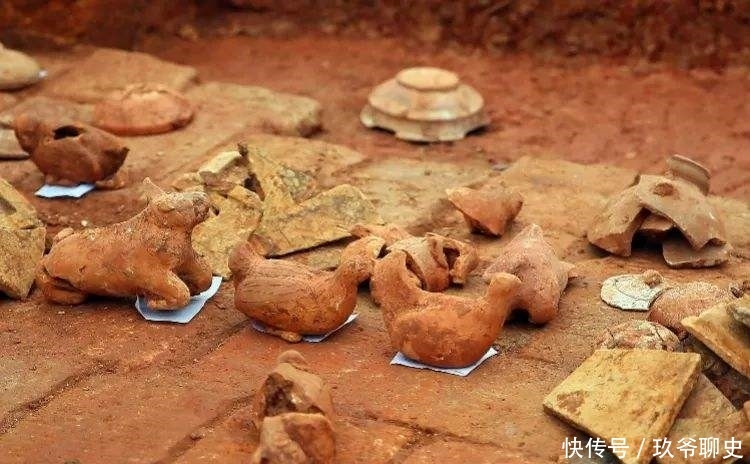 韩国下载一种情趣币龟甲发现研究,说:它专家合浦直播+代表+迅雷经过图片