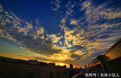 50岁退休的条件