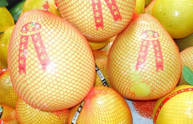 吃柚子可以减肥吗?_360问答